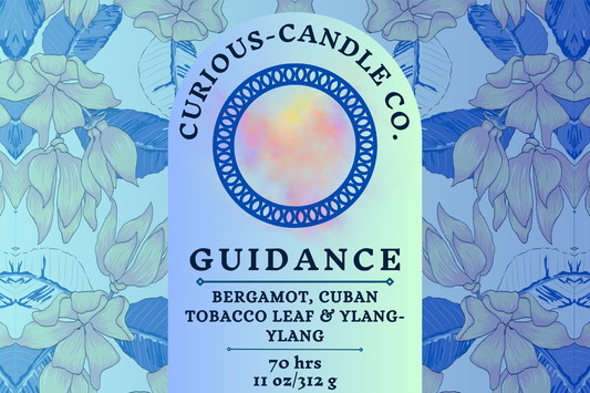 GUIDANCE